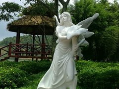 -广州市石门国家森林公园