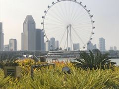 -新加坡摩天观景轮