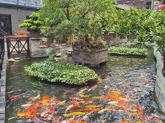 -猪肉婆私房菜(容桂总店)