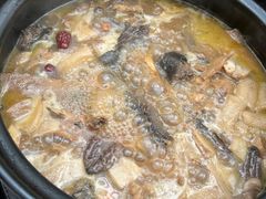 -蘑统田下·野生菌火锅