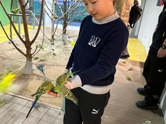 -上海大自然野生昆虫馆(东方明珠·爬宠昆虫探索中心)