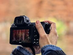 -白鹭湾湿地公园