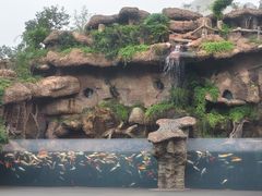 -杭州长乔极地海洋公园