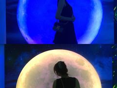 -天津梵高星空艺术馆(天河城旗舰店)