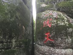 -汤旺河林海奇石景区