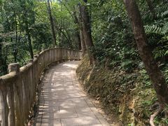 -五泄景区