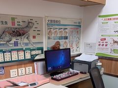 -宠福鑫动物医院(城北分院)