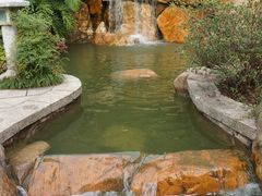 景点-广州珠江公园