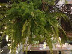 -亮马河饭店翠雅咖啡厅