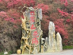 -木兰云雾山