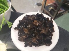 木耳-草原饭店火锅