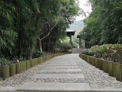 -九龙潭景区