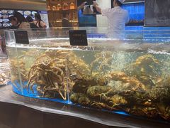 -徐记海鲜·宴会(大唐西市|丰庆店)