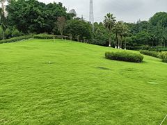 -龙头寺公园