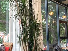 -旧雨咖啡·CoffeeFORU(黄村奥体店)