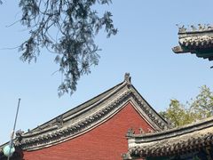 -洛阳白马寺