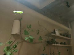 -Carmen卡门西班牙餐厅