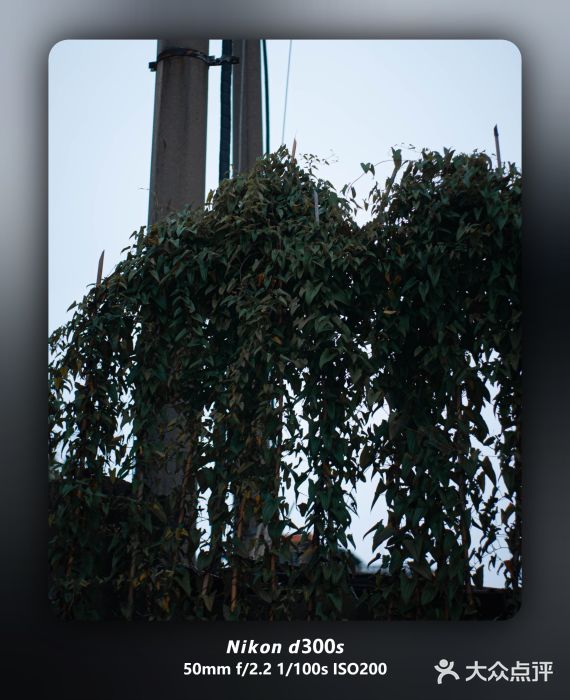 老火车站牛肉粉图片