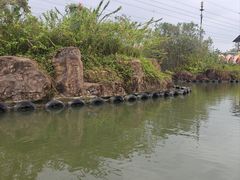 -长鹿旅游休博园
