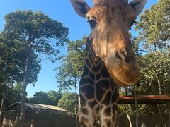 -清迈夜间动物园