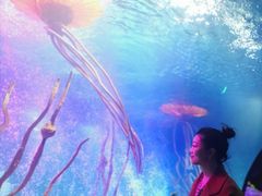 -沈阳海洋探索中心