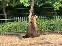 -秦皇岛野生动物园
