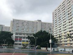 -彩虹村