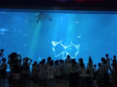 -福州罗源湾海洋世界旅游区