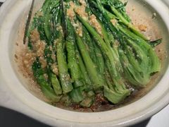 -三强鸽子(中原路店)