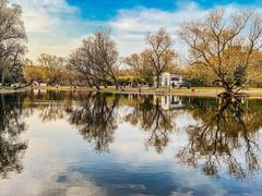 -上海共青森林公园