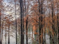 -青山湖景区