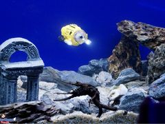 -MOJO密室逃脱(中街旗舰店)