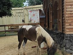 -HERRE·FARM 赫尔露营农场·团建聚会包场