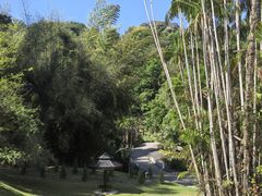 -槟城植物园