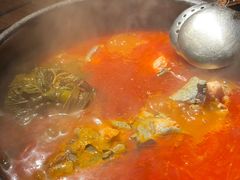 -毛辣果·酸(OHA复兴西路店)