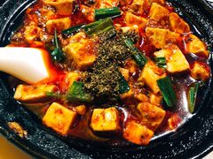 -陈麻婆豆腐总店