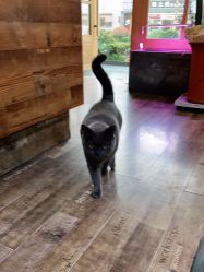 -青木造型HAIR·あおき髪を刈る潮人店