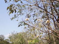 -吐斯廉屠杀博物馆