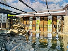 -春晖园度假酒店温泉