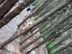 -云龙山