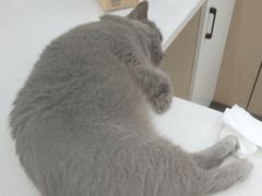 -贝康宠物医院·犬猫全科·小动物特色诊疗中心(东环路店)