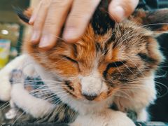 -七叔是岛民(花基新村店)