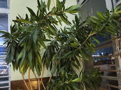 -珀丽酒店-协奏坊餐厅
