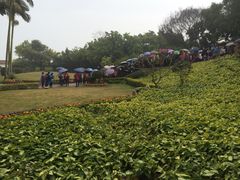 -鼓浪屿钢琴博物馆