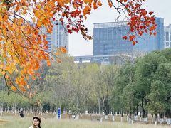 -艾溪湖湿地公园