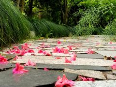 -南汇桃花村