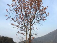 -宁波富邦荪湖山庄(慈城古县城店)