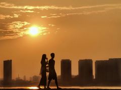 -瑶湖郊野森林公园