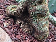 -南通洲际绿博园