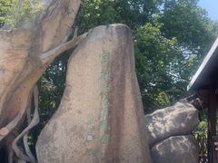 -宝岩生态观光园